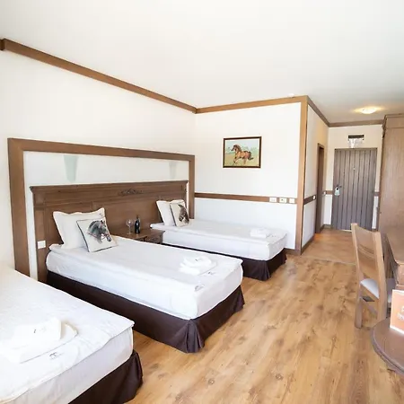 Boutique Complex Trakiets Hotel