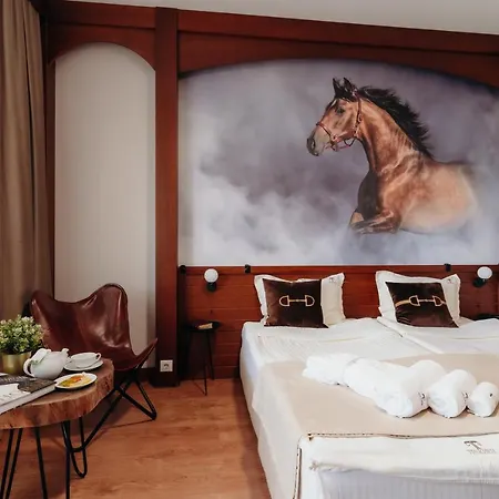 Boutique Complex Trakiets Hotel Zhitnitsa