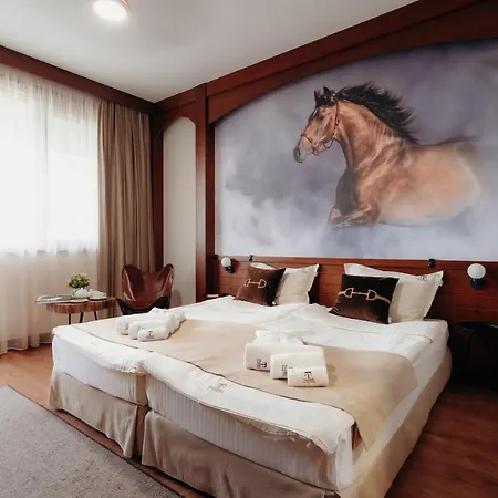 Boutique Complex Trakiets