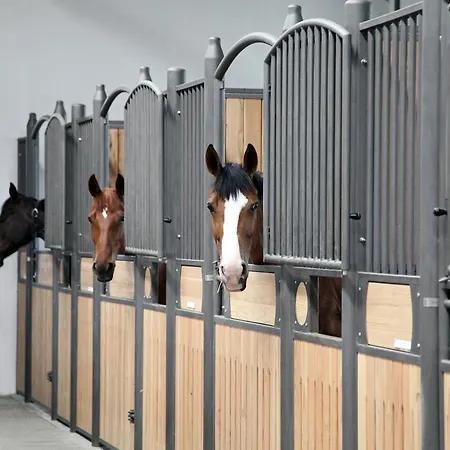 Boutique Complex Trakiets 酒店