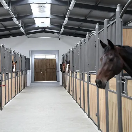 Boutique Complex Trakiets 4*