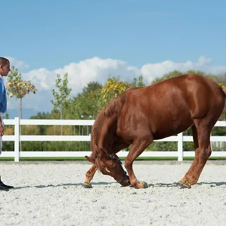 Boutique Complex Trakiets Zhitnitsa