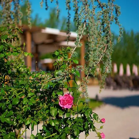 Boutique Complex Trakiets Zhitnitsa