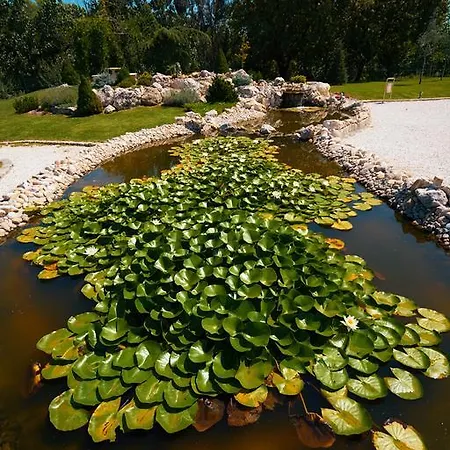 Hotel Boutique Complex Trakiets Zhitnitsa